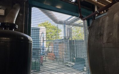 Perforated Lathe Galvanised Powder Coated Roller Shutter installed for meat abattoir – Lincolnshire